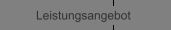 Leistungsangebot