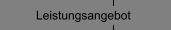 Leistungsangebot